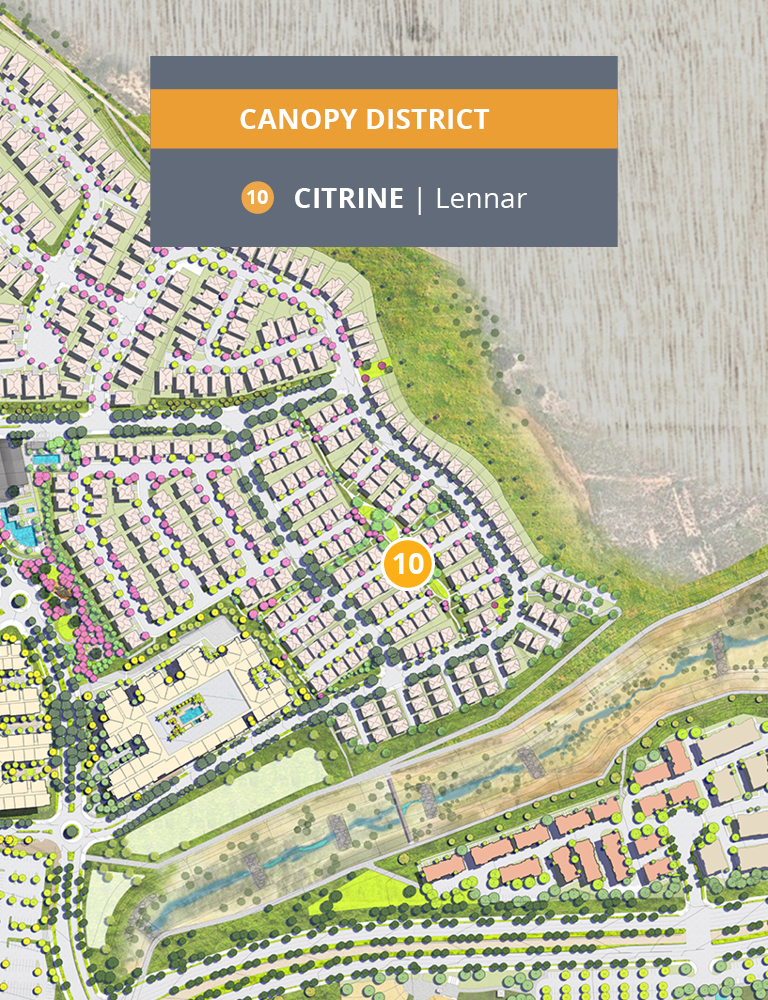 Citrine Desktop Neighborhood Map
