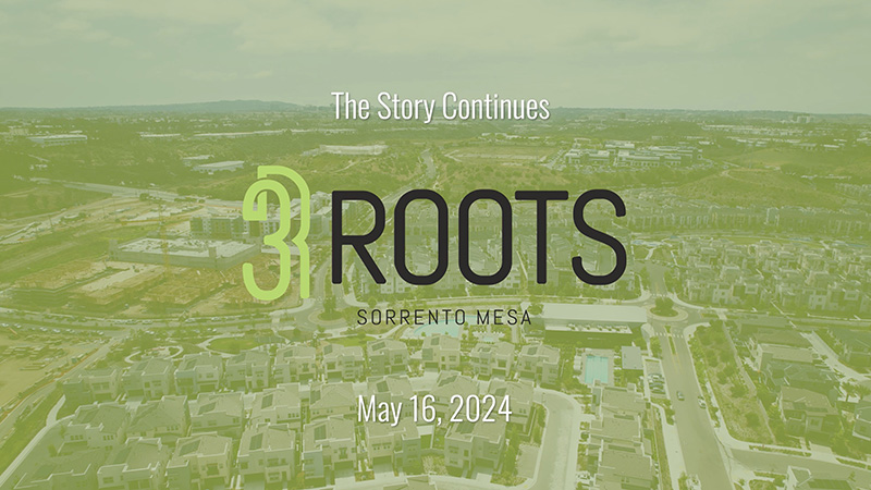 Construction update at 3Roots in Sorrento Mesa